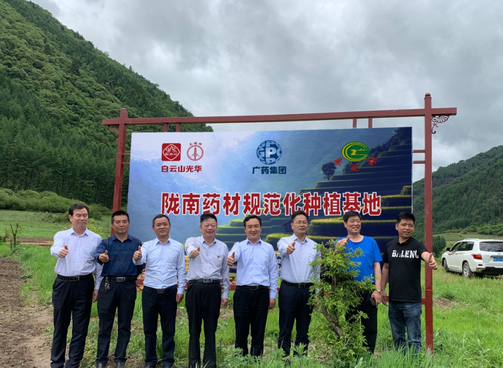 ҩ�ĺã�������ҩ�ź� ��������ɽС�������������淶��ݪֲ������ʽ���ƣ�