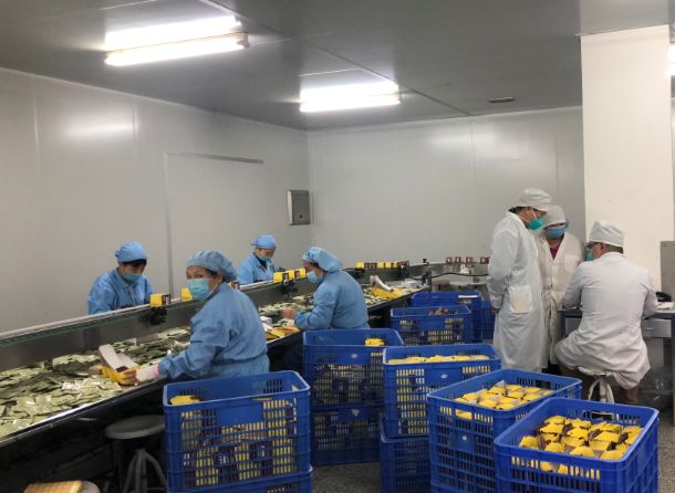 ���������ͣ�������������ʹ���ڼ硿�ط�365������֧����֯Ա����ǰ������������