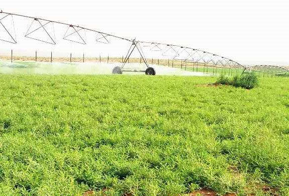 ����GAP����