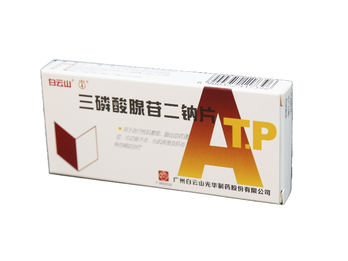 ���������ն���Ƭ