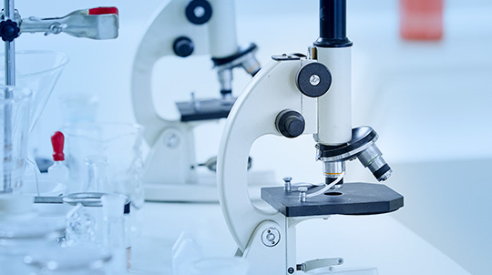 �ط�365(����)��Ȥ��Ͷ����ط�